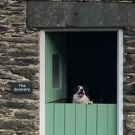 Dog Friendly Cottage, Geufron Farm Near Tywyn Bryn-crug Bagian luar foto