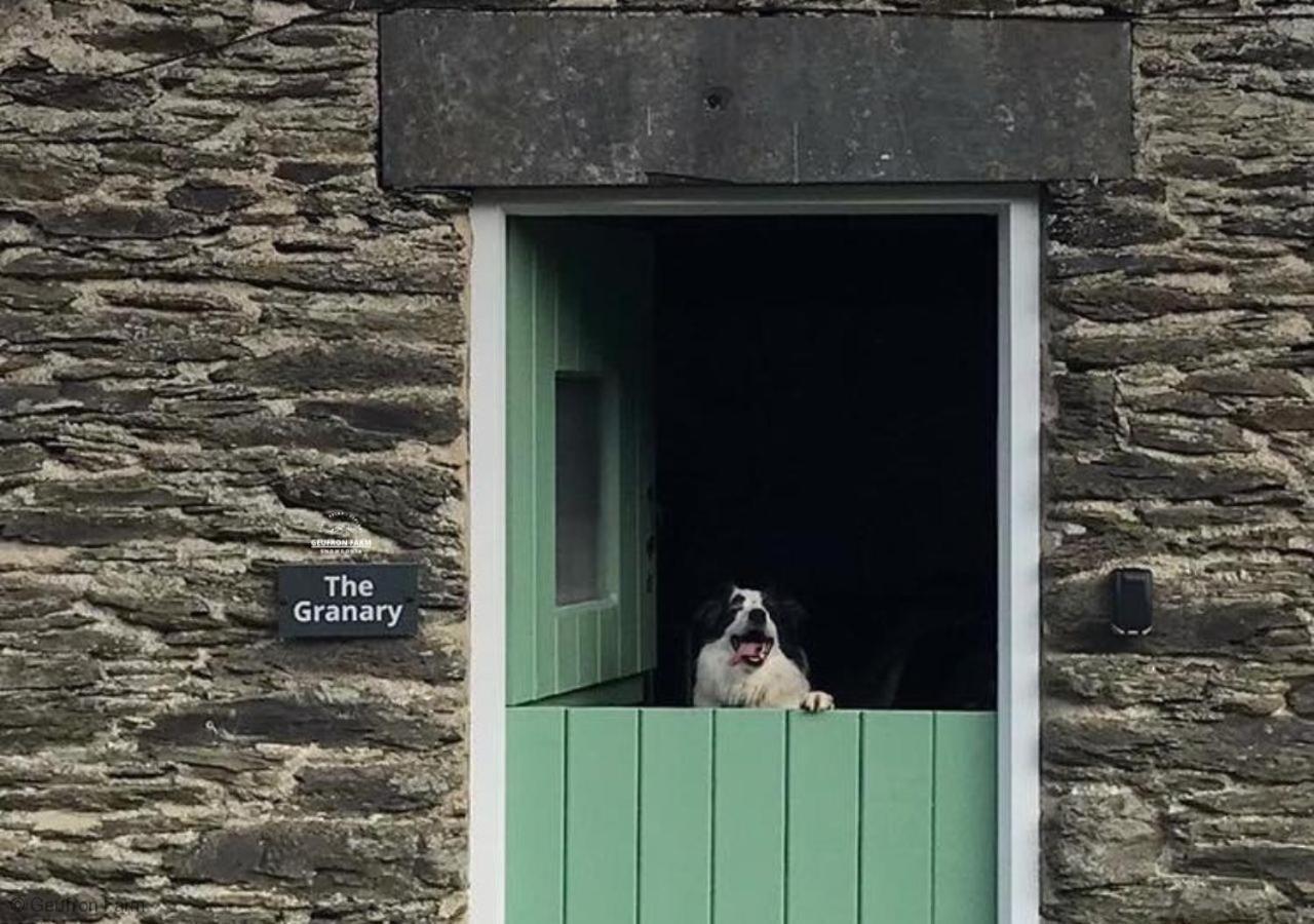 Dog Friendly Cottage, Geufron Farm Near Tywyn Bryn-crug Bagian luar foto
