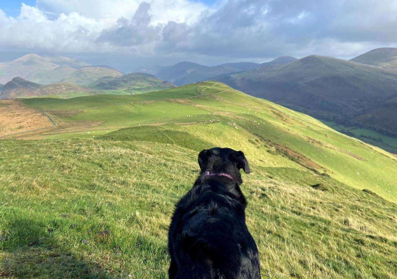 Dog Friendly Cottage, Geufron Farm Near Tywyn Bryn-crug Bagian luar foto