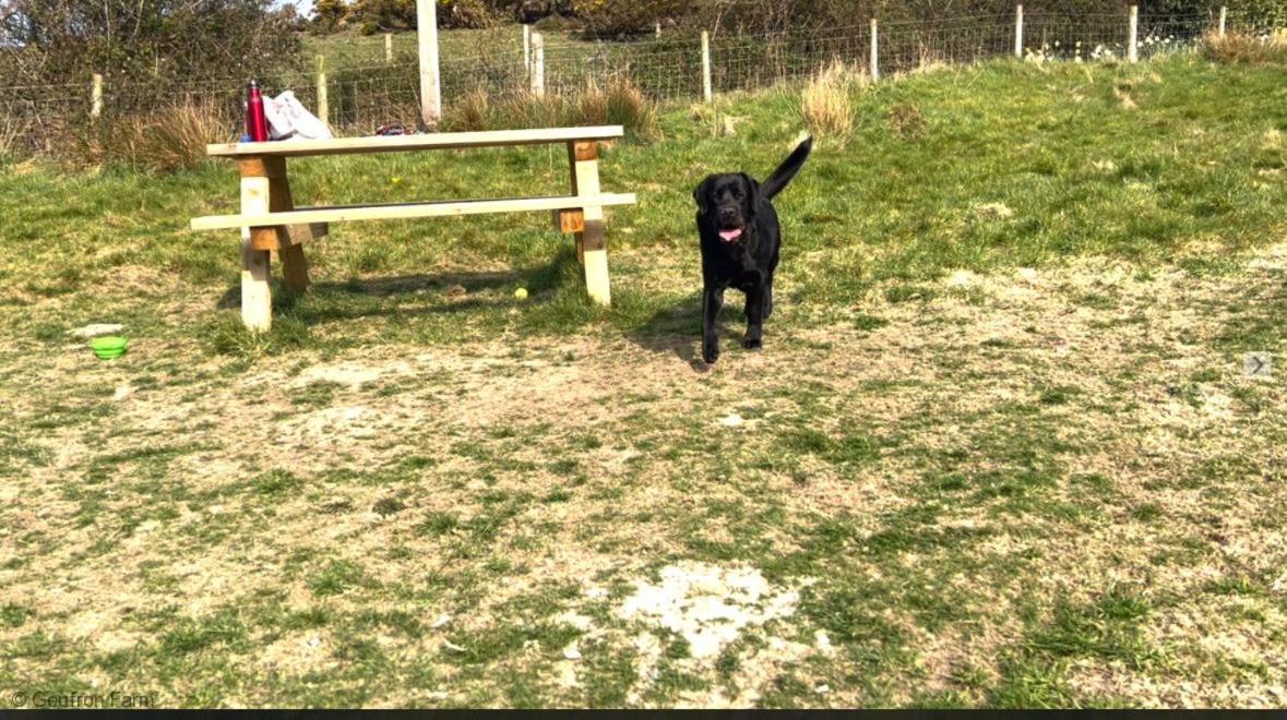 Dog Friendly Cottage, Geufron Farm Near Tywyn Bryn-crug Bagian luar foto